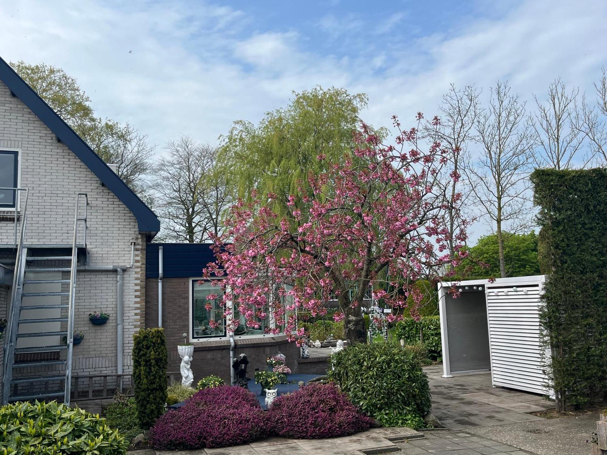 B&B Dol - Fijn Benningbroek Экстерьер фото
